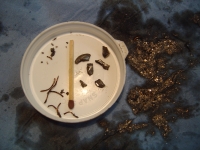  this is what came out with the gearbox oil so far - a few bits of broken teeth perhaps?, so brass swarf stuff?, and plenty of metallic paste collected in the drain plug recess